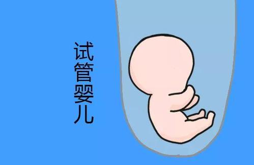 紫韵医疗